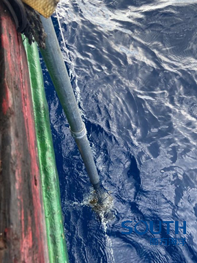 1638930045106930.png image.png